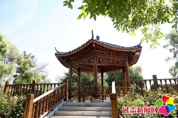 延吉通报表扬,延吉公园最新规划