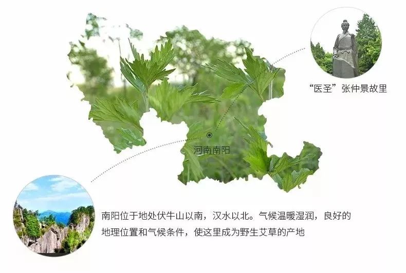 乾隆养生5大法宝,乾隆喝啥汤