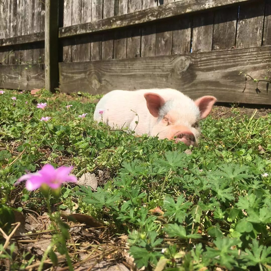 揭穿身边的骗局文章,揭穿新骗局视频