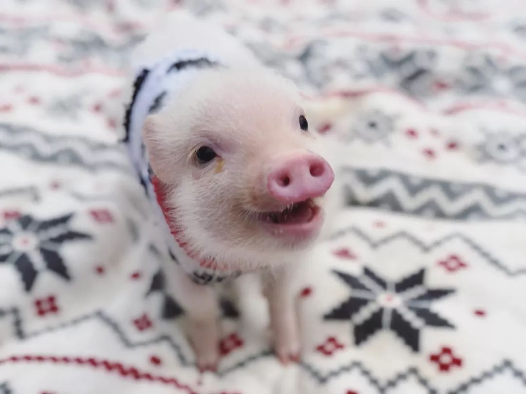 揭穿身边的骗局文章,揭穿新骗局视频