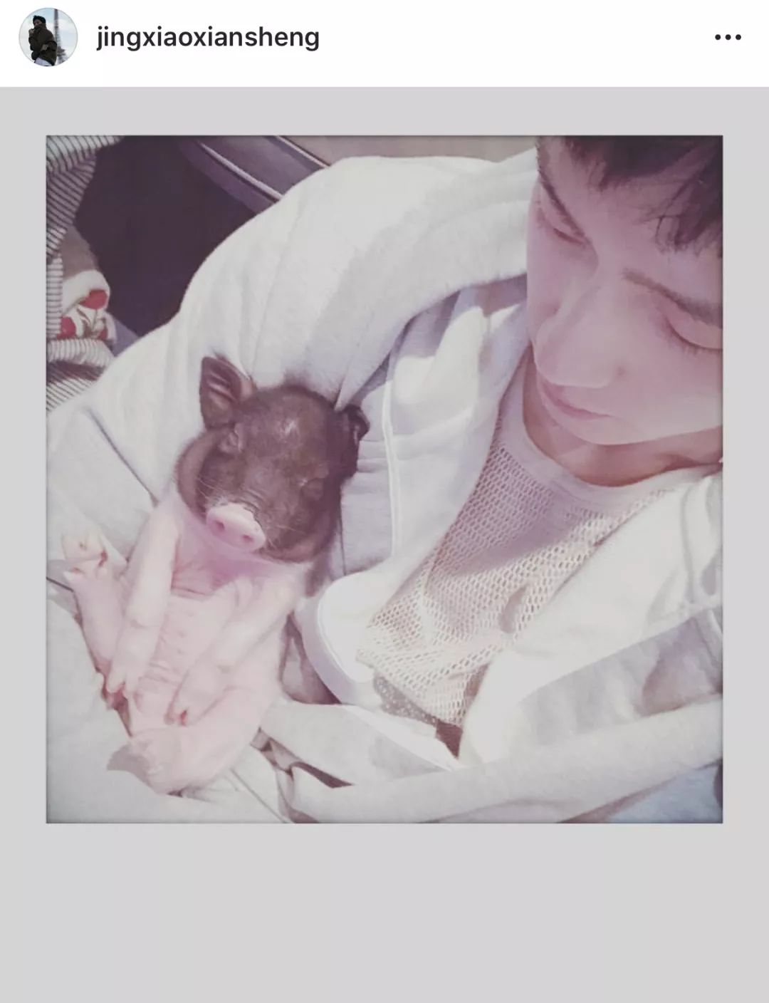 揭穿身边的骗局文章,揭穿新骗局视频