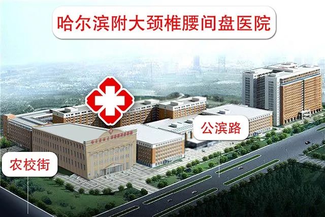 你家睡啥床？你常玩手机？腰痛难忍反复发作、久治不愈，腰间的不能承受之痛该如何缓解？