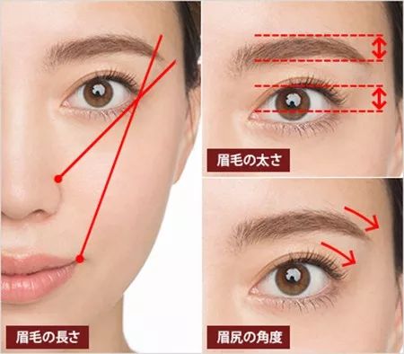 怎么样才能增加眉眼间距,眉眼距怎么通过锻炼改善