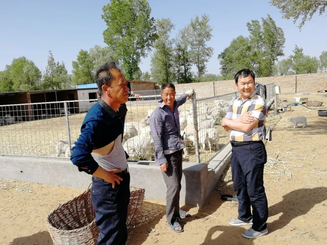 「乌审·民情日记」大牛地村第一书记朝格吉乐图