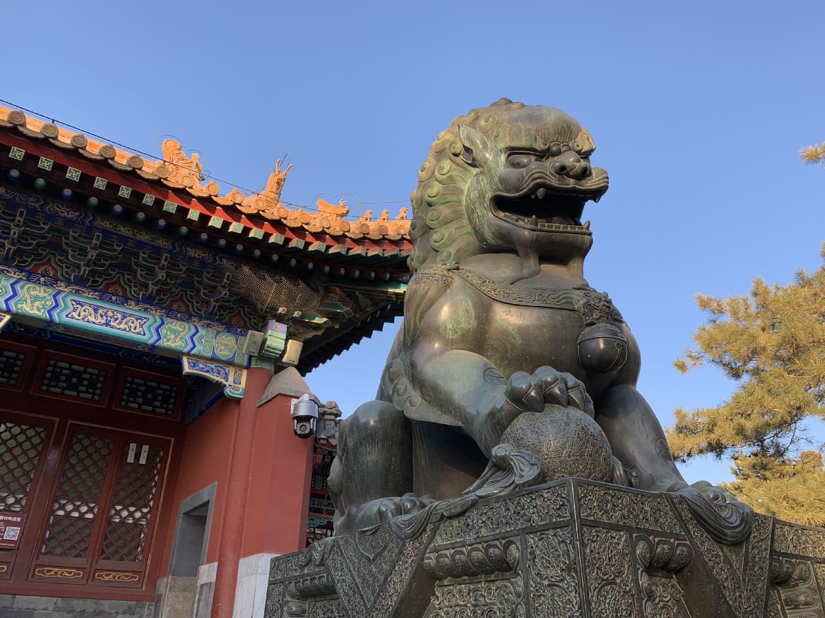 苹果xr主要是哪个摄像头拍照,苹果xr到苹果15前后置摄像头