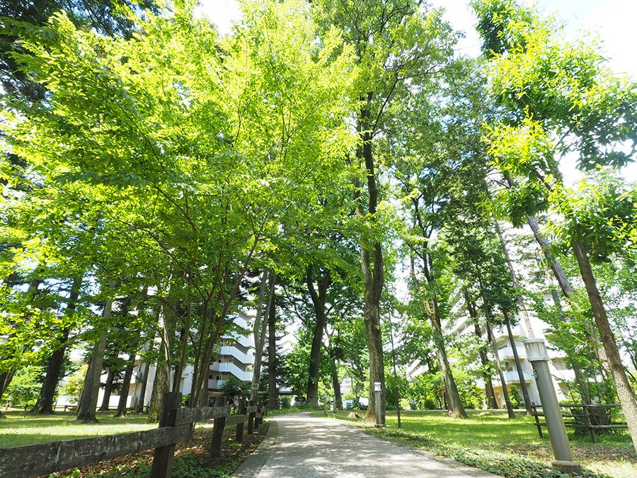 第四消费时代解读日本,日本第四消费时代