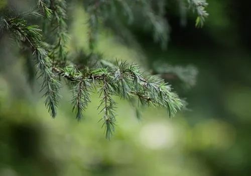 麻范儿好物｜祖玛珑、圣罗兰……一口气买齐6支“大牌”香水，只花了我四十几块！