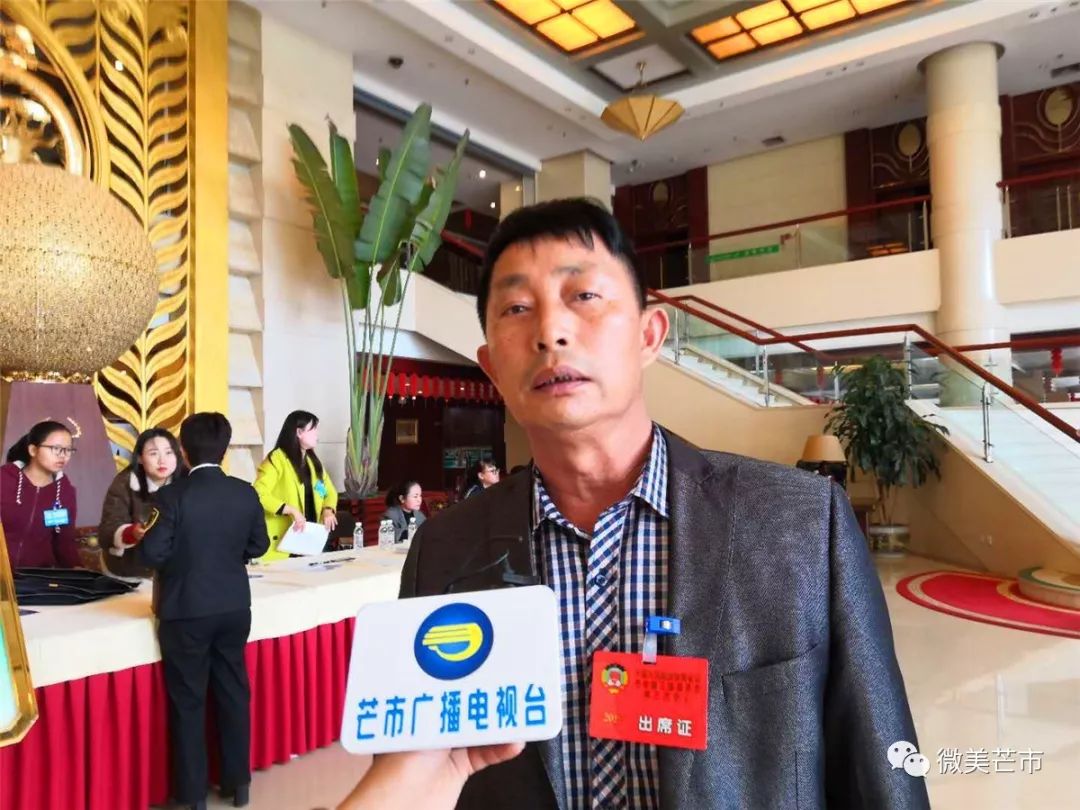 政协委员报到访谈,聚焦两会热点倾听代表声音