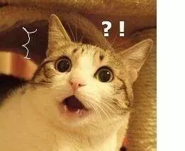 加拿大禁售日本眼药水,日本网红眼药水国外被禁售