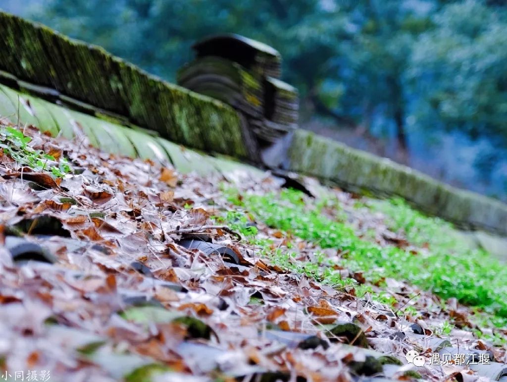 两天一夜青城山攻略,青城山旅游打卡攻略