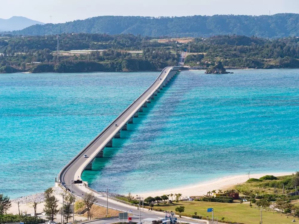 日本夏威夷樱花海岛,在日本最晚看到樱花开放的岛屿