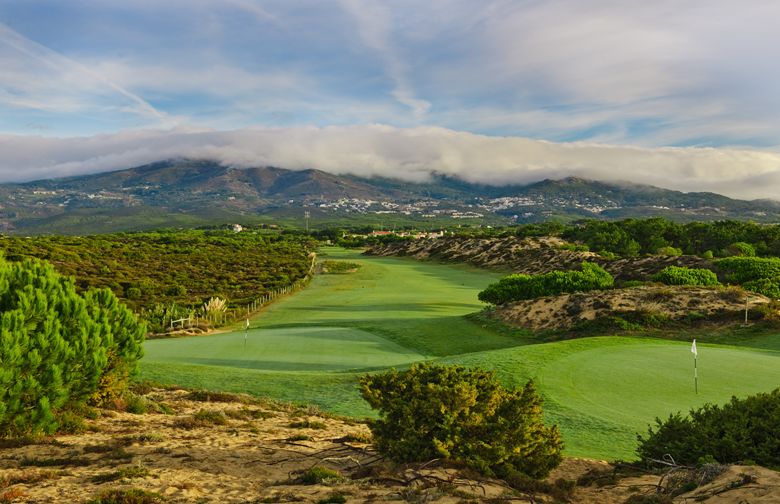 封面扉页目录故事,封面故事大全完整版