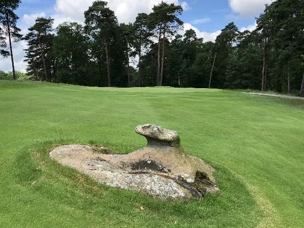 封面扉页目录故事,封面故事大全完整版