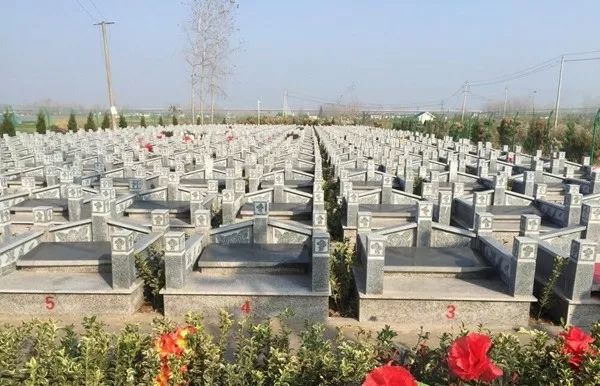 央视报道淮安涟水,淮安塑造美丽乡村新闻