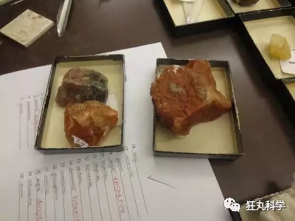 靠舌头舔出来的科学发现，最后一个让我不得不服