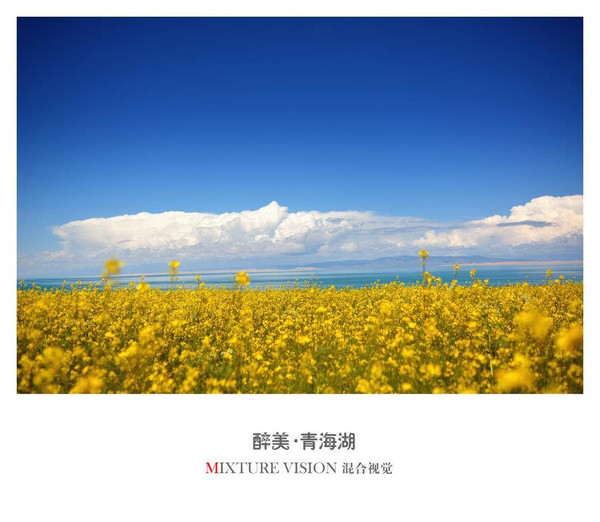 到青海湖旅游关注事项,去青海湖需要关注什么