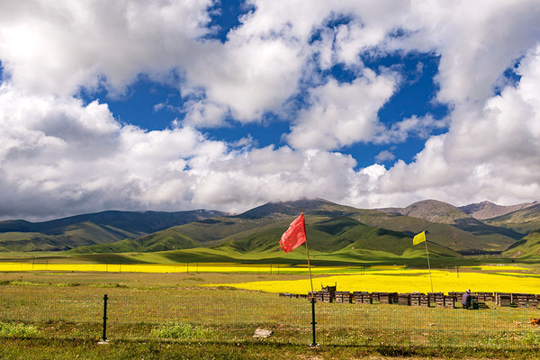 到青海湖旅游关注事项,去青海湖需要关注什么