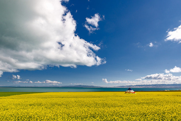 到青海湖旅游关注事项,去青海湖需要关注什么