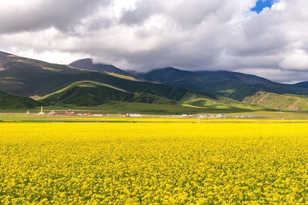 到青海湖旅游关注事项,去青海湖需要关注什么