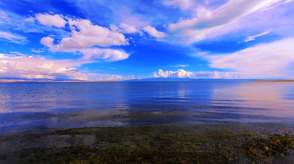 到青海湖旅游关注事项,去青海湖需要关注什么