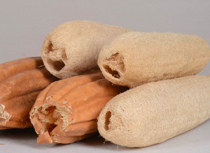 最强保洁天团完整视频,最强清洁团队