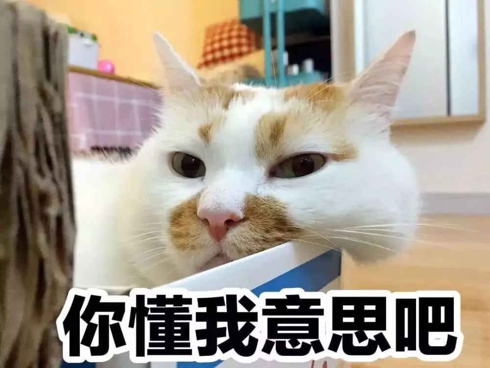 里面再穿条宽松阔腿裤也显瘦,能穿秋裤的阔腿裤推荐