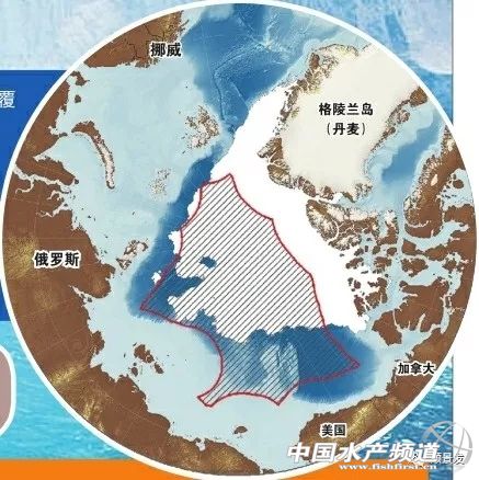 中国海鲜市场未来几年的发展,全球海鲜行业发展趋势