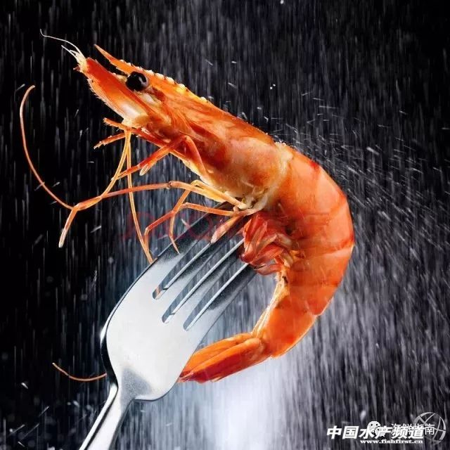 饭店的白灼虾为什么那么好吃,大排档的白灼虾为什么那么鲜甜