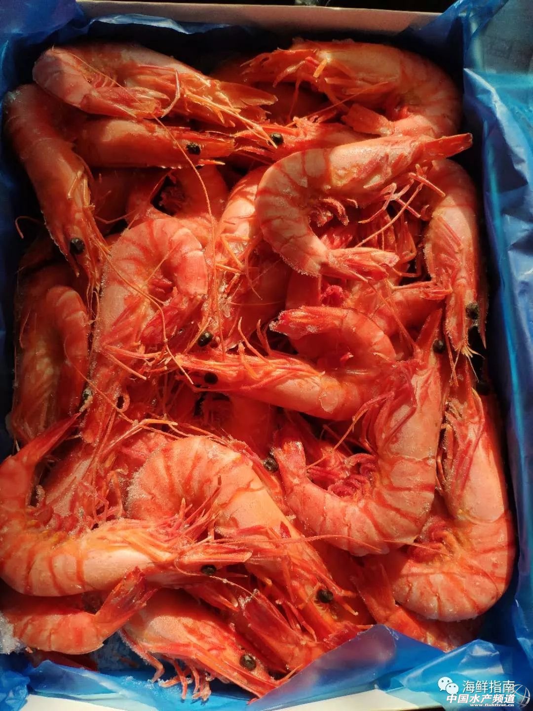 饭店的白灼虾为什么那么好吃,大排档的白灼虾为什么那么鲜甜