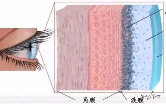 显示器垫高影响视力,显示器垫高容易得干眼症