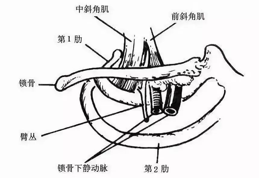康复锻炼手麻是怎么回事,手麻的治疗思路这5个点要记住