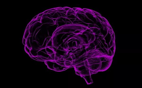 2018年18篇论文“挑战教科书”，你最惊奇的是？