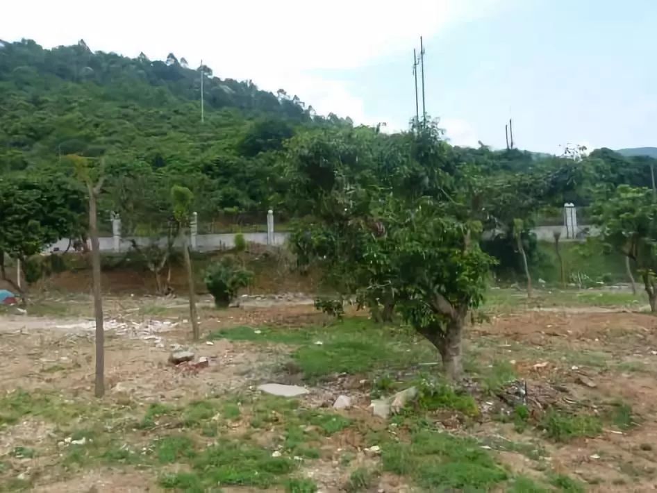 广东省饮用水源保护管理,广东支援汕头抗洪救灾