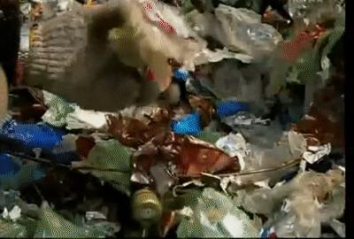 为什么塑料瓶可以卖钱,塑料瓶和塑料袋能做衣服用吗