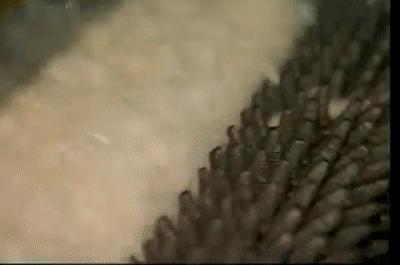 为什么塑料瓶可以卖钱,塑料瓶和塑料袋能做衣服用吗