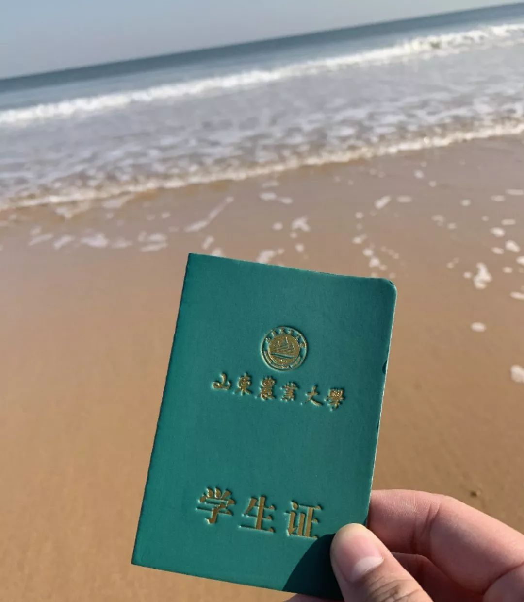 武汉大学生寒假时间安排,大学生寒假2022安排时间表