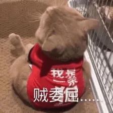 如何养成韩国girls同款雪白肌？7大秘籍在这里~