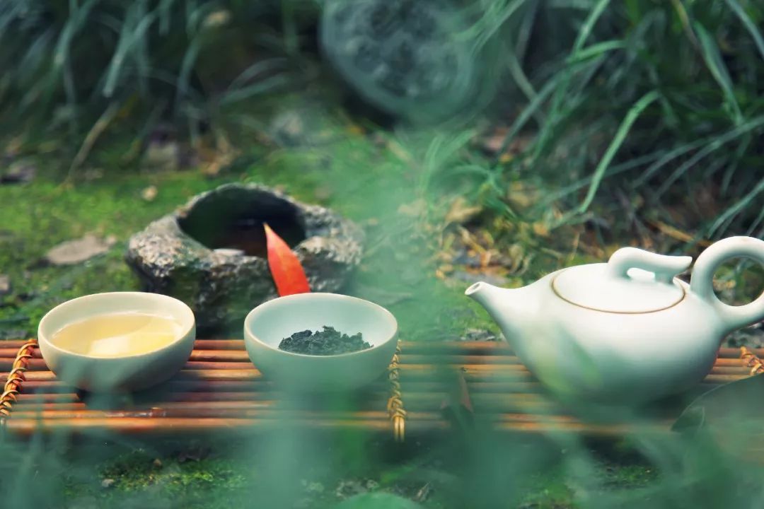 我见过最才华横溢的诗,关于才华横溢的诗句有哪些