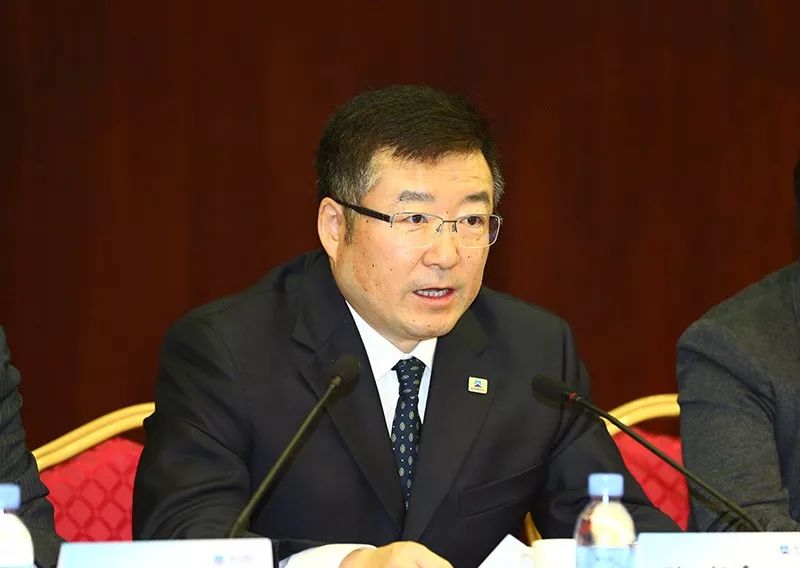 国机集团张晓仑,中国机械工业集团有限公司张晓仑