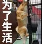 吴谨言被吓哭,皓镧传吴谨言被蝎子咬是哪一集