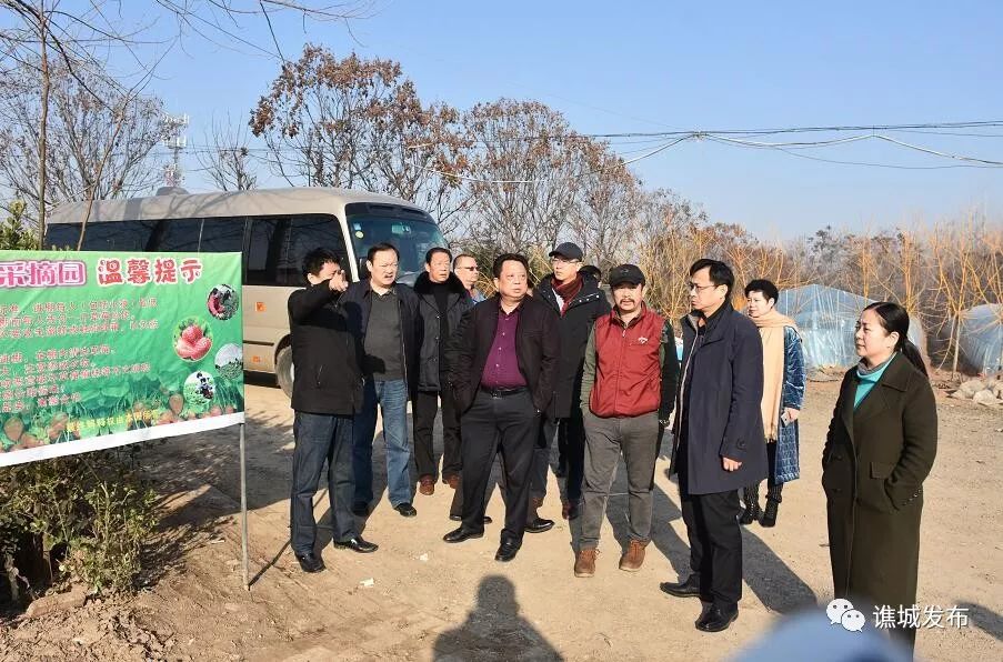 古井特色小镇还建吗,亳州华佗养生小镇规划