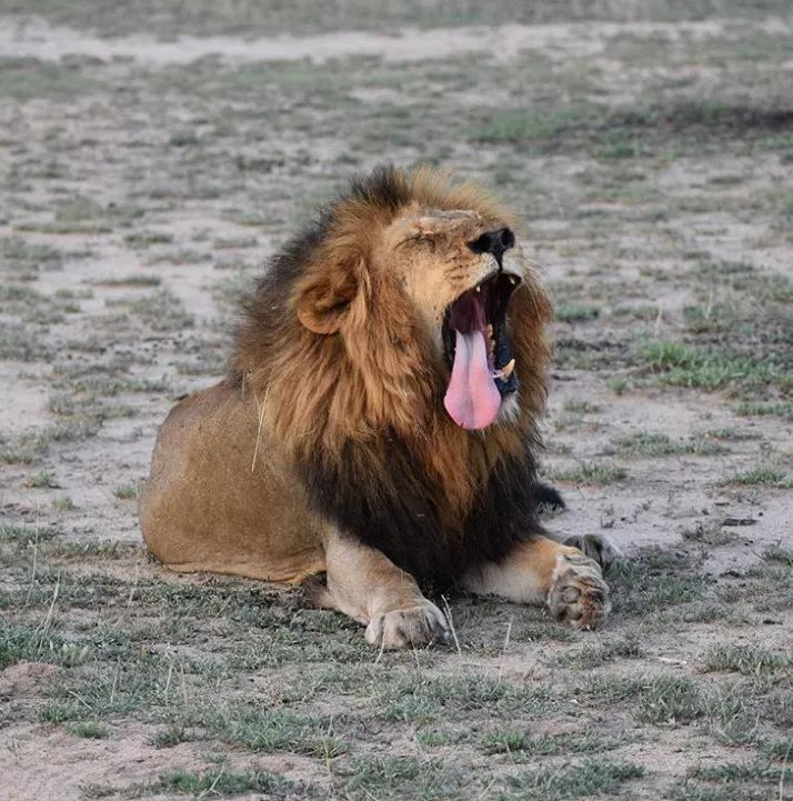 知否知否台湾明星,知否知否花絮婚嫁