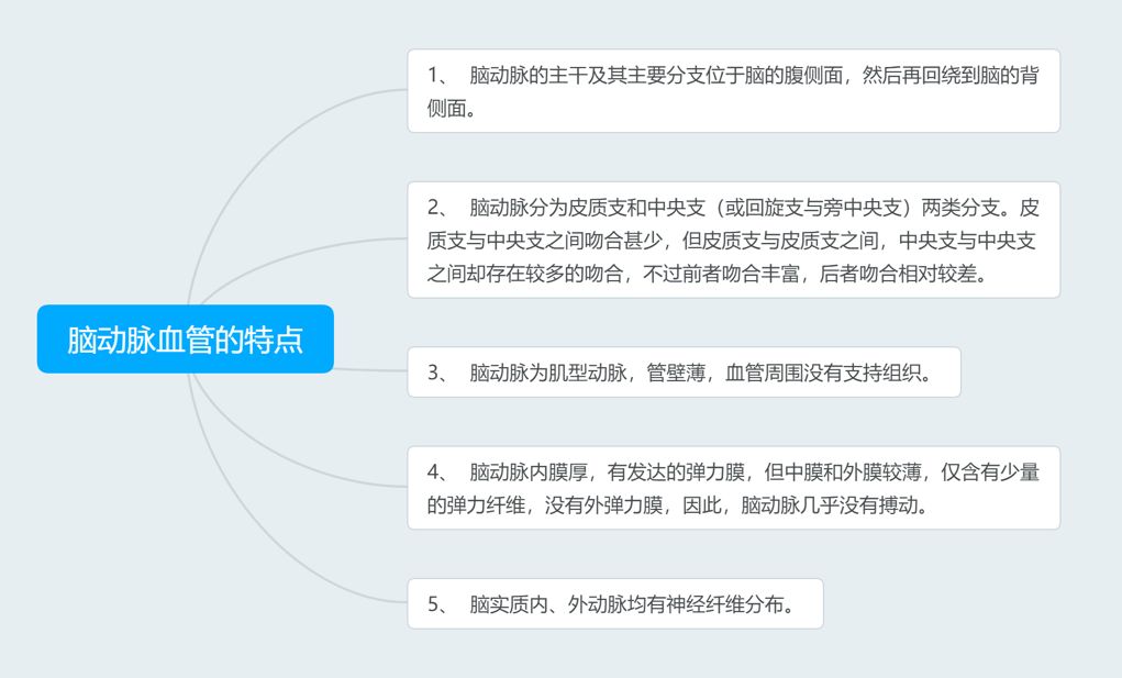 脑血管解剖与分段详解ppt,内科脑血管疾病思维导图