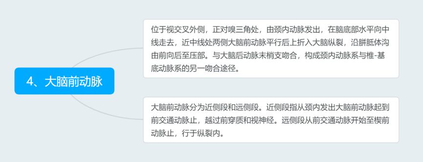 脑血管解剖与分段详解ppt,内科脑血管疾病思维导图
