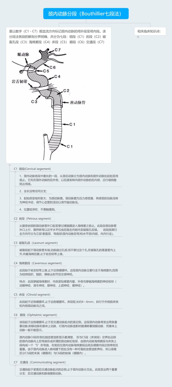 脑血管解剖与分段详解ppt,内科脑血管疾病思维导图