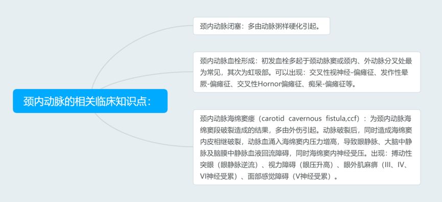 脑血管解剖与分段详解ppt,内科脑血管疾病思维导图