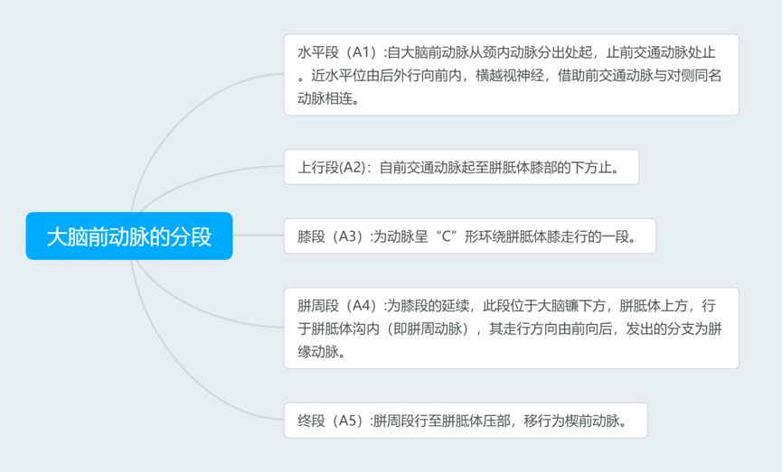 脑血管解剖与分段详解ppt,内科脑血管疾病思维导图