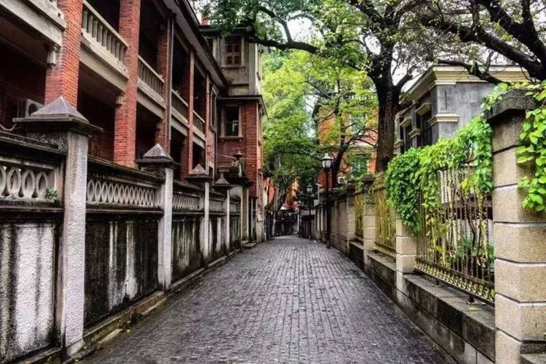 11月郑州出发最低价机票,郑州出发1月特价机票一览表