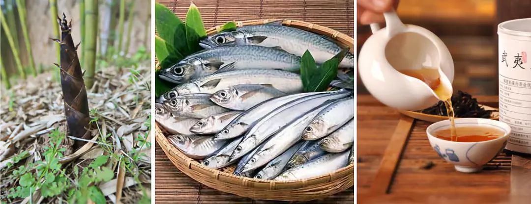 武夷山一日游详细攻略,武夷山超详细旅游攻略