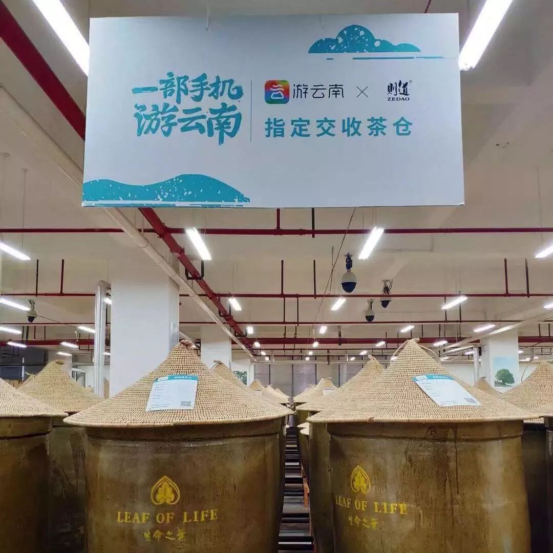 传奇兰花为什么值钱,传奇曼松普洱生茶